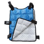 Ice Cooling Vest